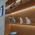 Hall way with cool white led tape in book case