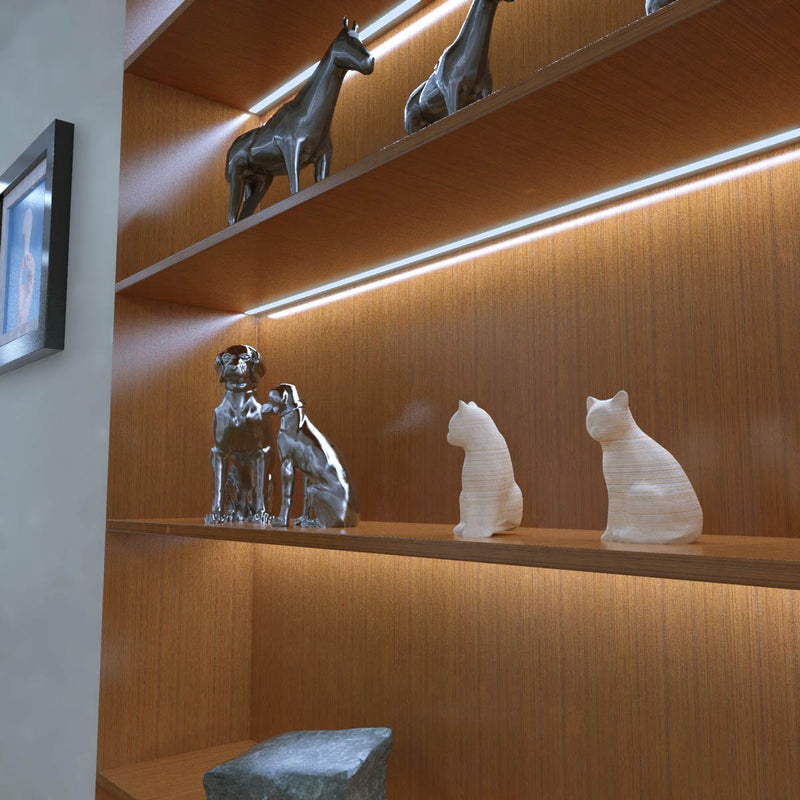 Hall way with cool white led tape in book case