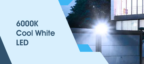 10w LED floodlight - 6000K Cool White LED