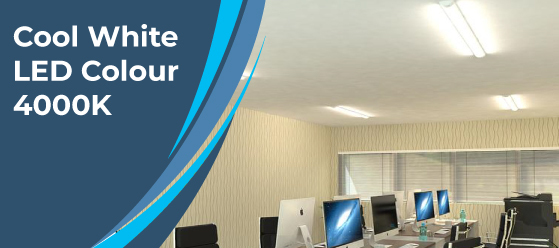 5ft cool white LED batten - Cool White LED Colour, 6500K